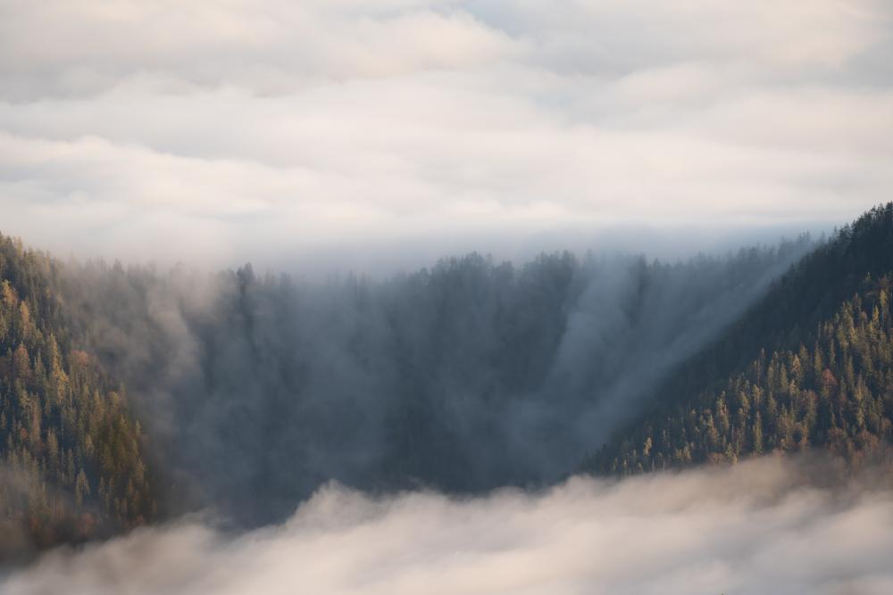 A waterfall of fog, Ennstalerh\u00fctte, Austria