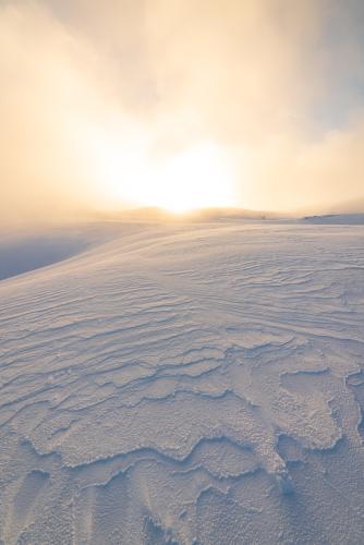 Abstract patterns, Dobratsch, Austria