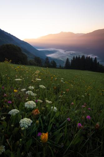 Summer sunrise, Drau Valley, Austria