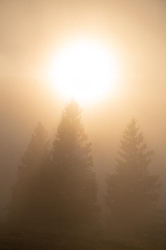 Velika Planina, Slovenia