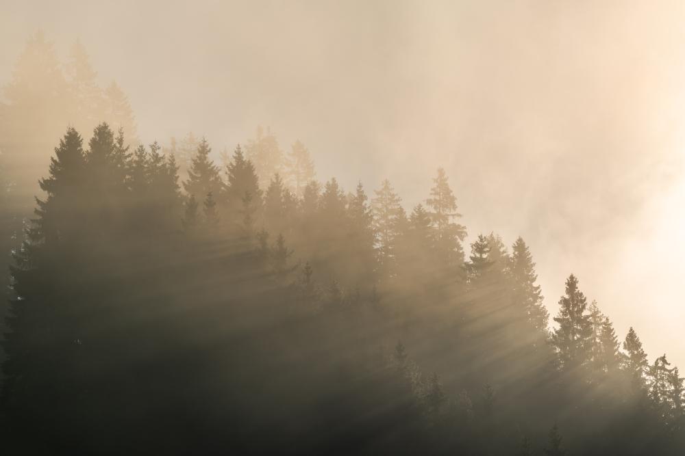 Light piercing through the fog, Schladming, Austria