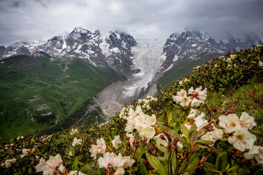 Adishi Glacier, Georgia