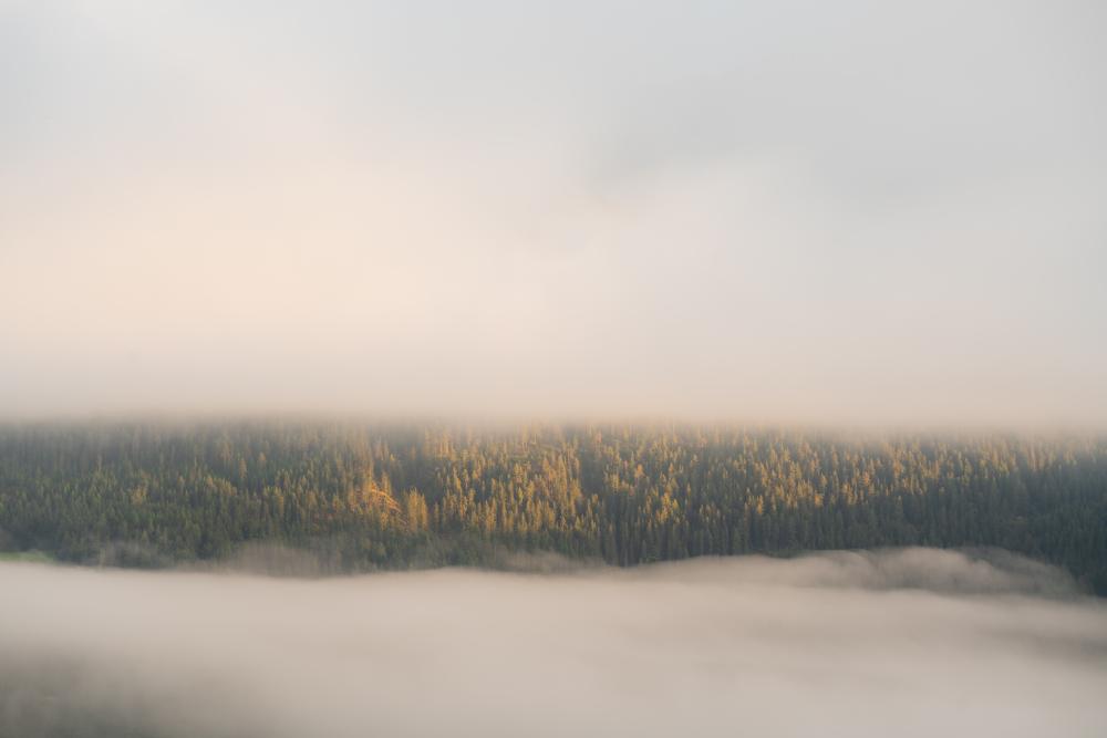A glimpse through the fog, Schladming, Austria