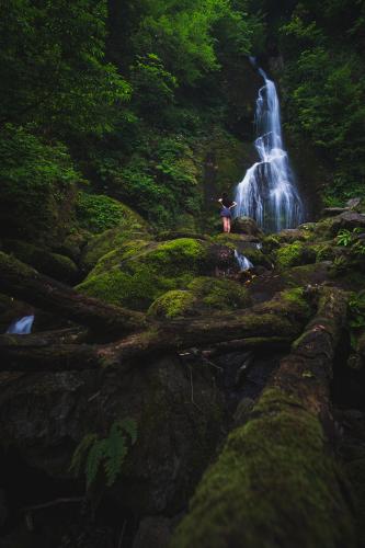 Waterfall in Mtirala National Park, Georgia