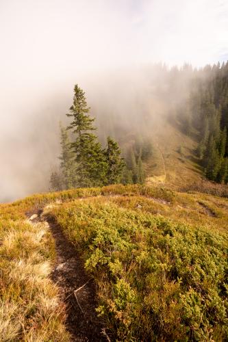 Light and fog high on the trail above Johnsbach, Austria