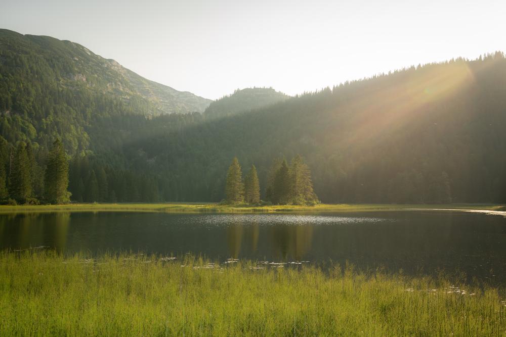 Lake Obersee, Lower Austria, Austria