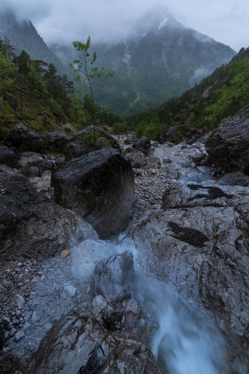 A rainy spring day in Gesäuse National Park