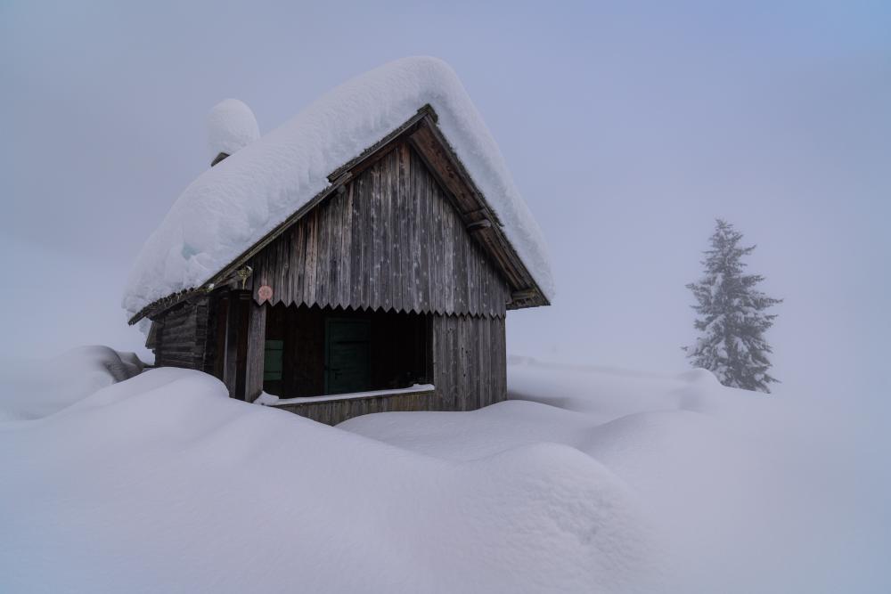 Wooden cabin, Zell-pfarre, Carinthia, Austria