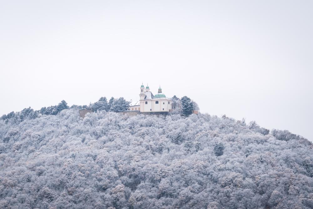 The first snow, Leopoldsberg, Vienna, Austria
