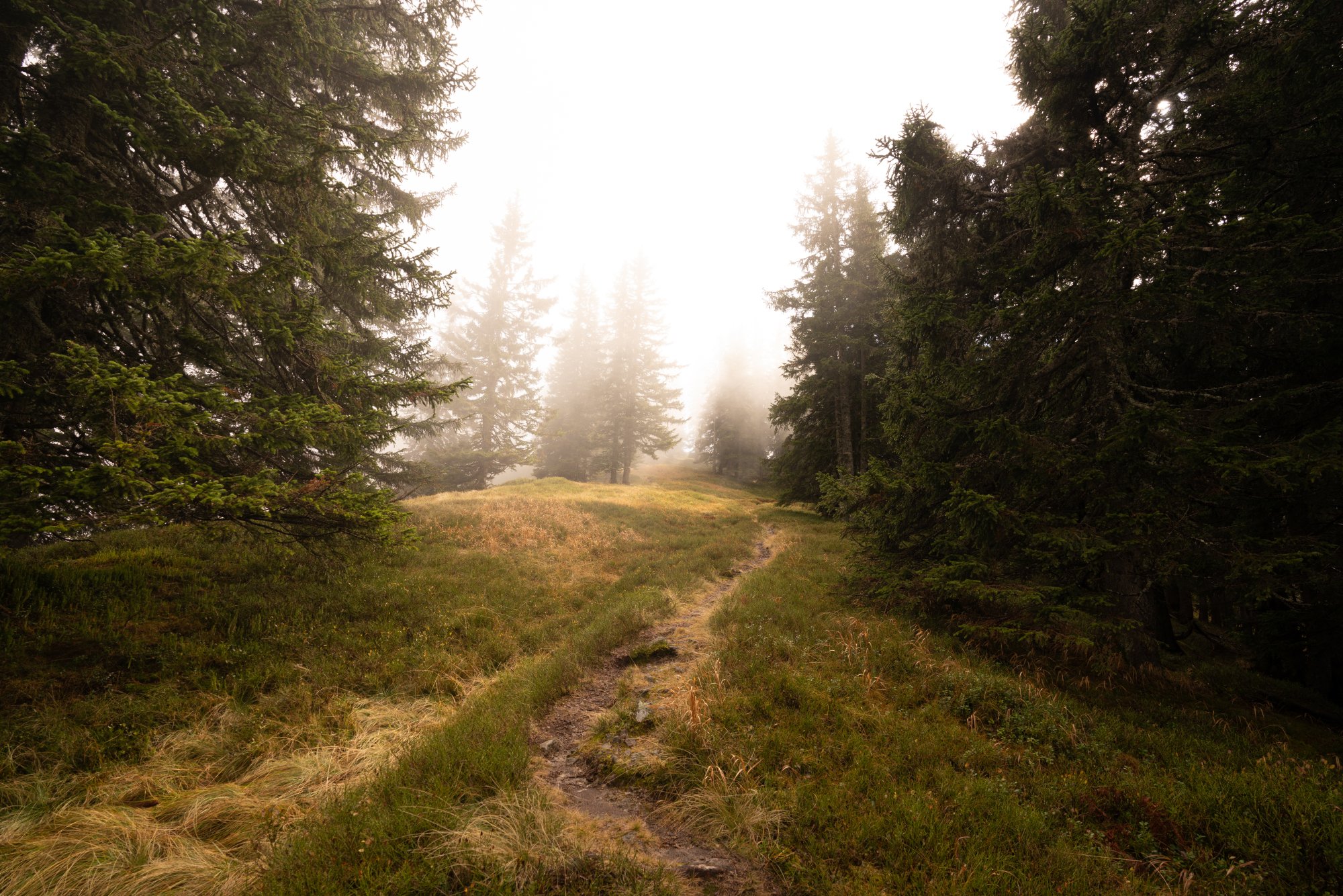 Mountain ridge trail, Johnsbach